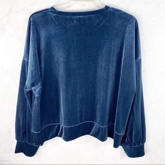 [Madewell] Velvet Balloon Sleeve Sweatshirt - Picture 7 of 7